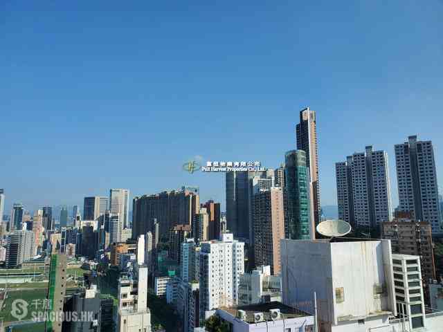 跑马地 - 逸怡居 08