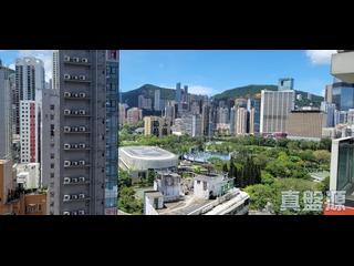 銅鑼灣 - 維峰 13