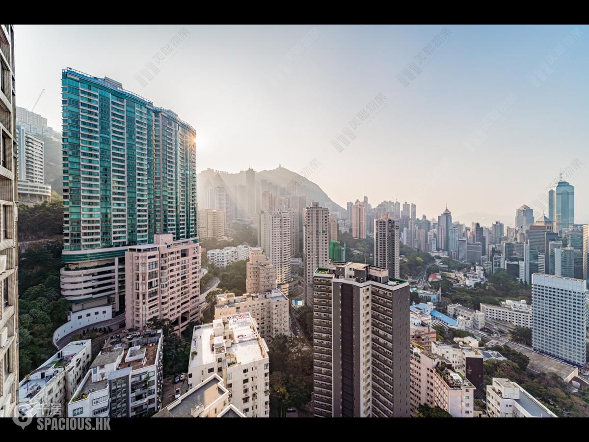中半山 - 寶樺臺 01