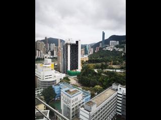 灣仔 - 華都樓 03