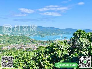 西贡 - 茅坪新村 22