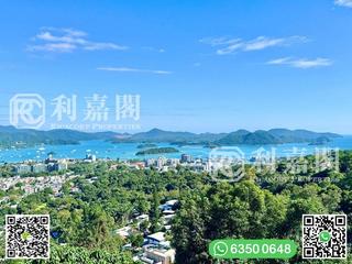 西贡 - 茅坪新村 02