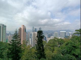 中半山 - Magazine Gap Towers 11