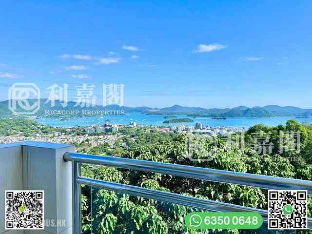 西贡 - 茅坪新村 01