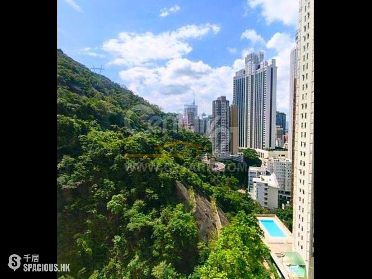 東半山 - 竹林苑 01