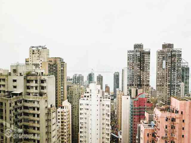 Sai Ying Pun - Golden Phoenix Court 07