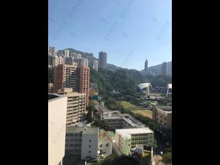 銅鑼灣 - 新豪閣 08
