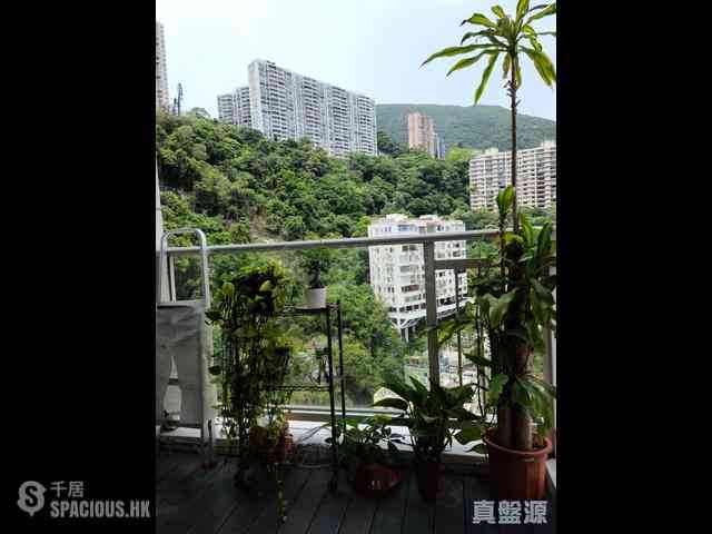 跑马地 - 纪云峰 07