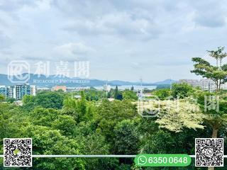 西贡 - 怡康花园 19