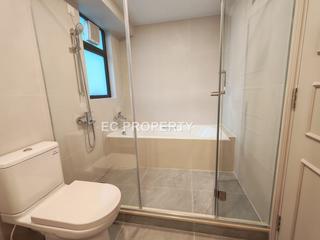Mid Levels Central - 62B, Robinson Road 09