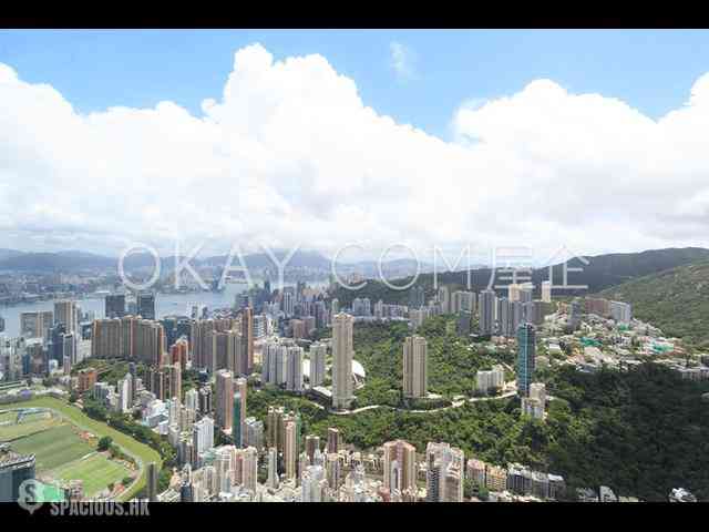 司徒拔道 - 晓庐 01