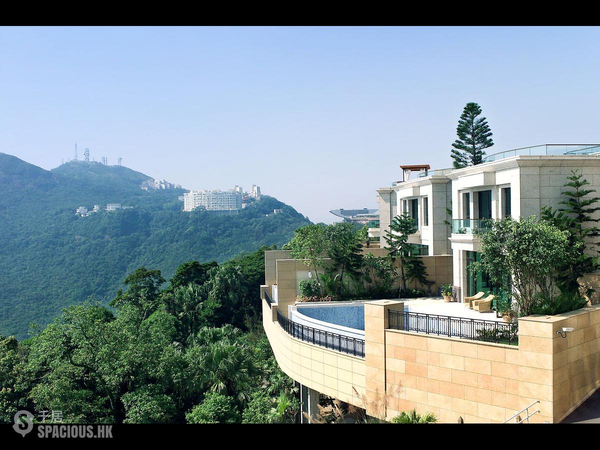 The Peak - Kelletteria 01