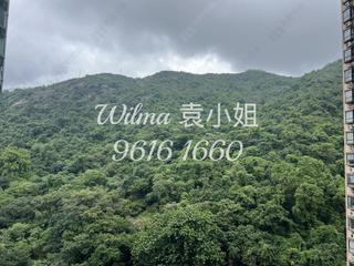 Tai Hang - Ronsdale Garden 03