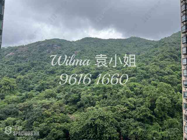 Tai Hang - Ronsdale Garden 03