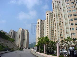 Stanley - Redhill Peninsula 06