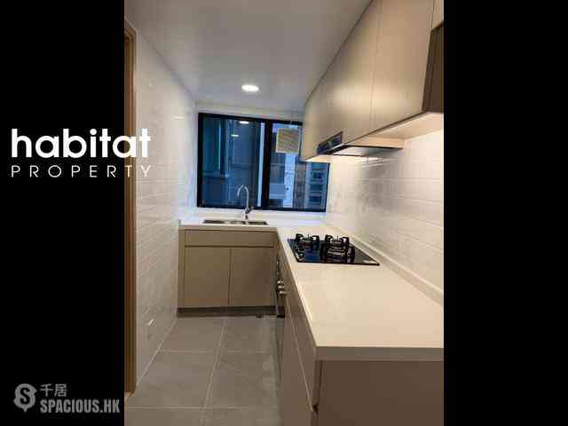 Mid Levels Central - 62B, Robinson Road 04