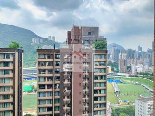 Happy Valley - The Broadville 11