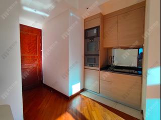 Wan Chai - The Avenue Phase 2 Block 3 07