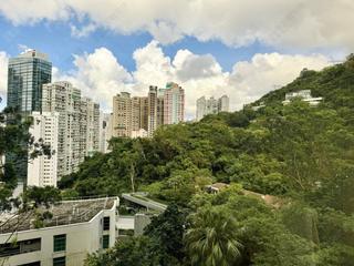 東半山 - 御花园 09