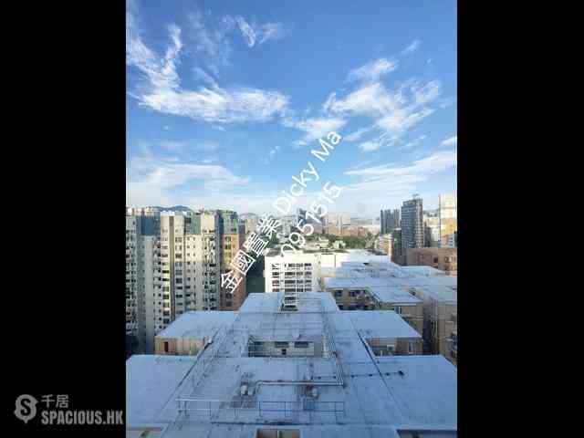 Jordan - Arbour 03