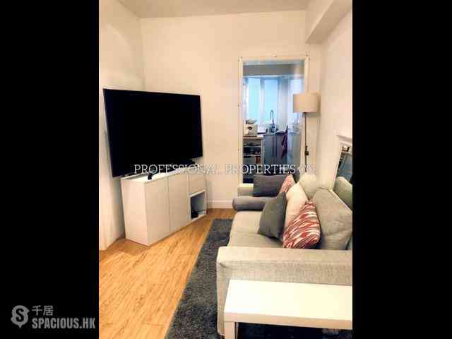 Mid Levels Central - Rich Court 02