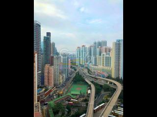 Shau Kei Wan - Lime Gala 02