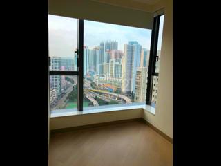 Shau Kei Wan - Lime Gala 04
