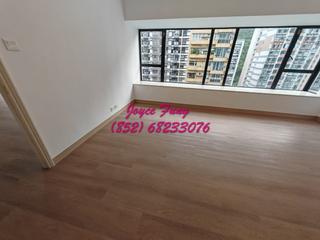 Mid Levels Central - 62B, Robinson Road 06