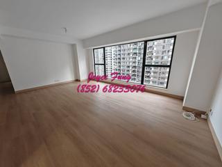 Mid Levels Central - 62B, Robinson Road 09