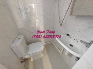Mid Levels Central - 62B, Robinson Road 10