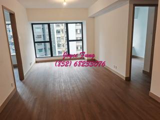 Mid Levels Central - 62B, Robinson Road 19