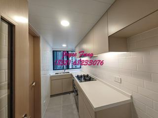 Mid Levels Central - 62B, Robinson Road 20