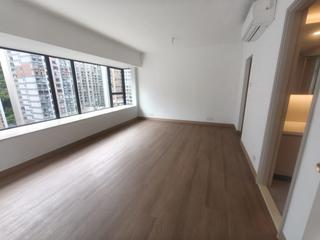 Mid Levels Central - 62B, Robinson Road 04