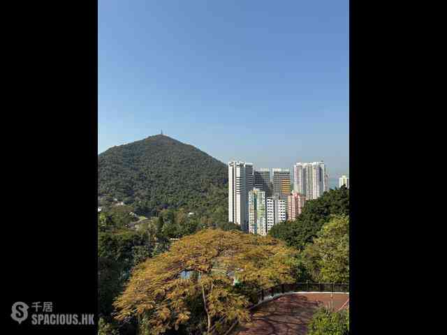 Pok Fu Lam - Mount Pokfulam 14