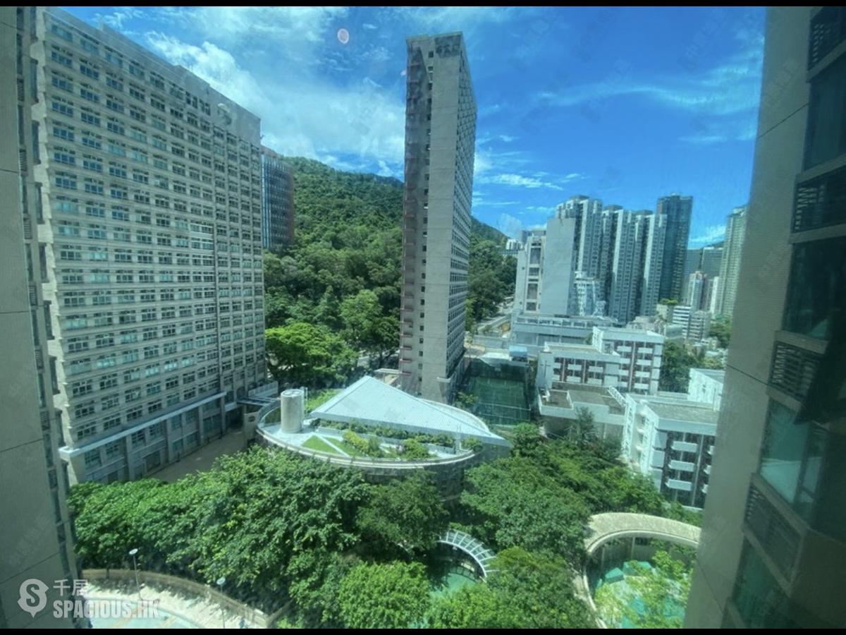 Shek Tong Tsui - The Belcher's 01