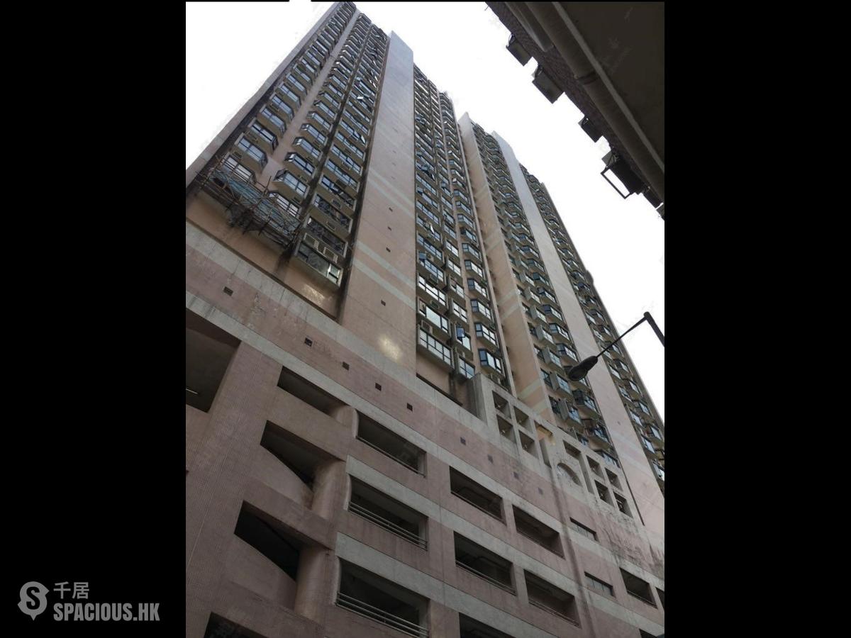 跑马地 - 汇翠台2座 01