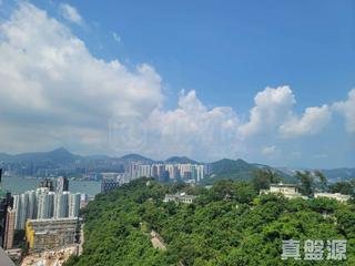 筲箕湾 - 香岛 12
