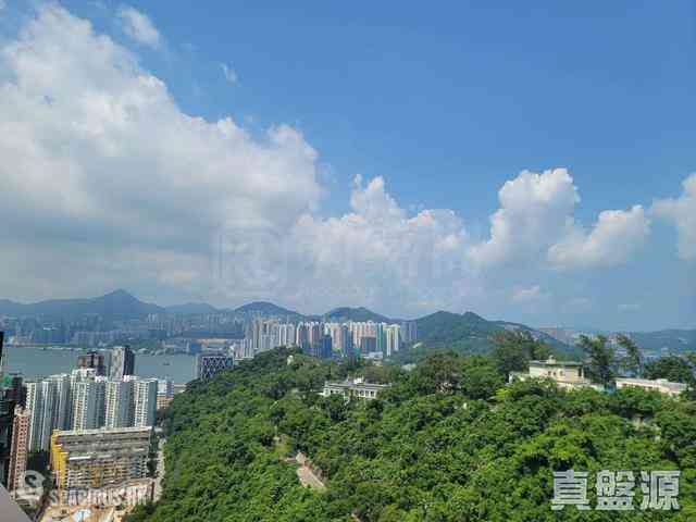 筲箕湾 - 香岛 12
