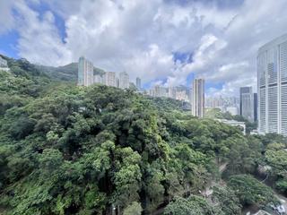 東半山 - 萬信台 07