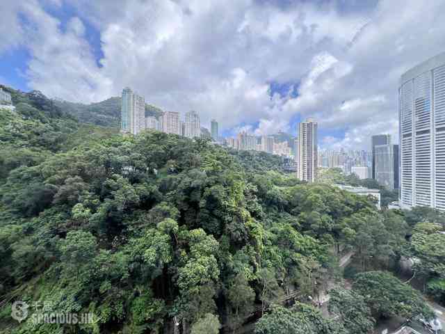 東半山 - 萬信台 07