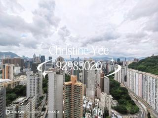 大坑 - 春晖8号 05