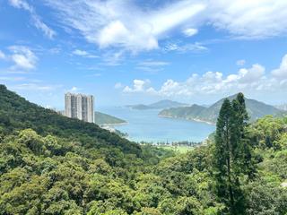 Repulse Bay - Sea Cliff Mansions 03