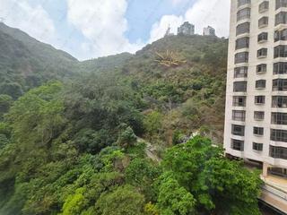 東半山 - 豐樂新邨B座 04