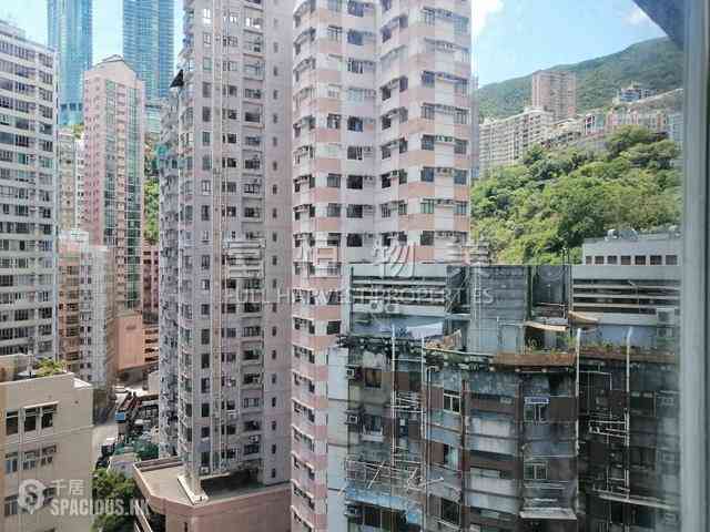 跑馬地 - 旭逸閣 11