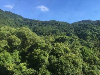 西半山 - 杏彤苑 08