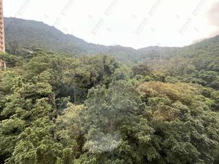 西半山 - 杏彤苑 20