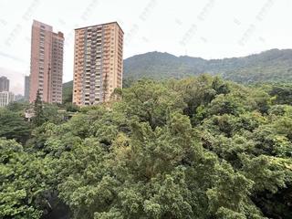 西半山 - 杏彤苑 24
