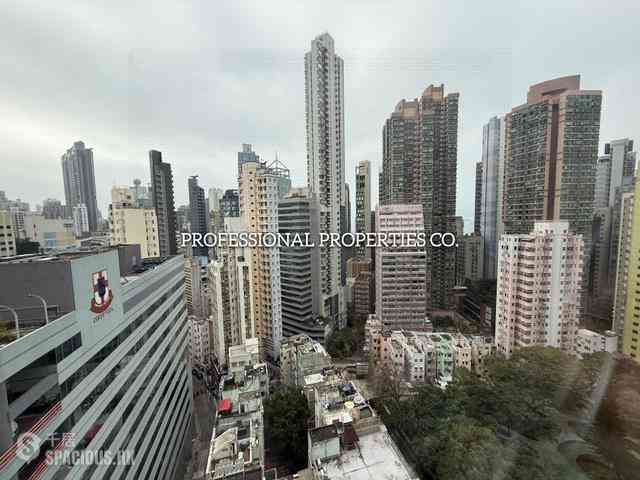 Sheung Wan - Hollywood Hill 08