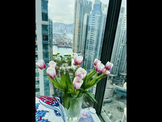 Tai Kok Tsui - Island Harbourview Block 1 07