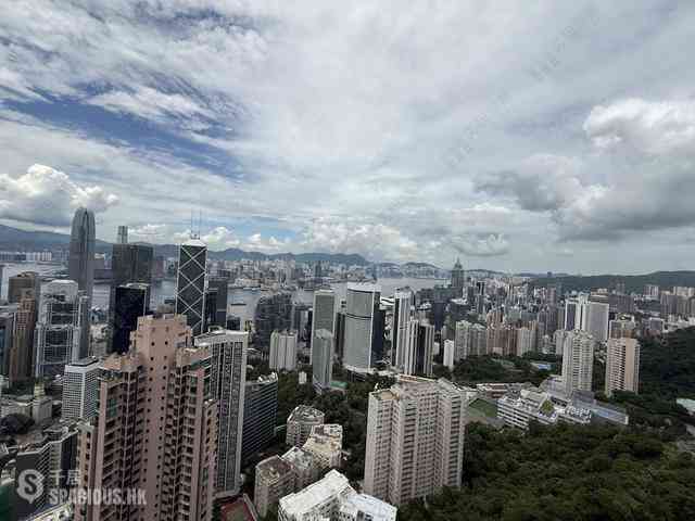 Mid Levels Central - The Harbourview 02